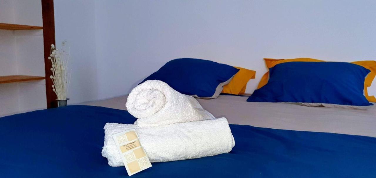 Studio Tres Spacieux Avec Cour, En Plein Coeur De Ville ! Carcassonne Ngoại thất bức ảnh