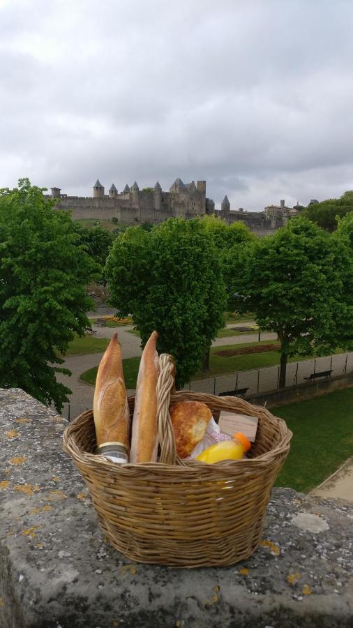 Studio Tres Spacieux Avec Cour, En Plein Coeur De Ville ! Carcassonne Ngoại thất bức ảnh