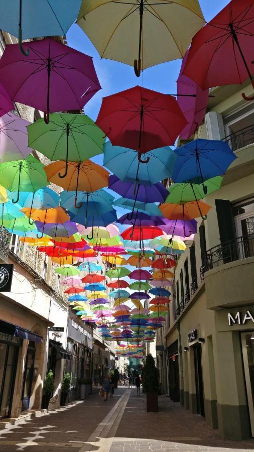 Studio Tres Spacieux Avec Cour, En Plein Coeur De Ville ! Carcassonne Ngoại thất bức ảnh
